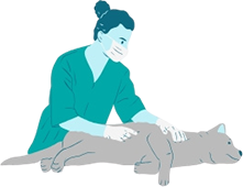 Veterinary Healthcare